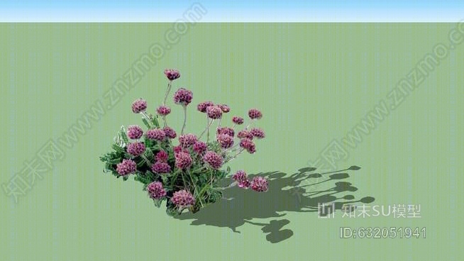 蒙大拿花柱SU模型下载【ID:632051941】