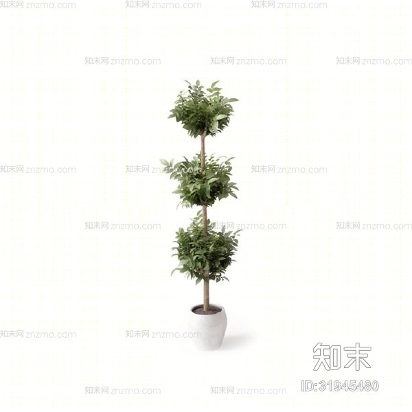 绿色盆栽3D模型下载【ID:31945480】