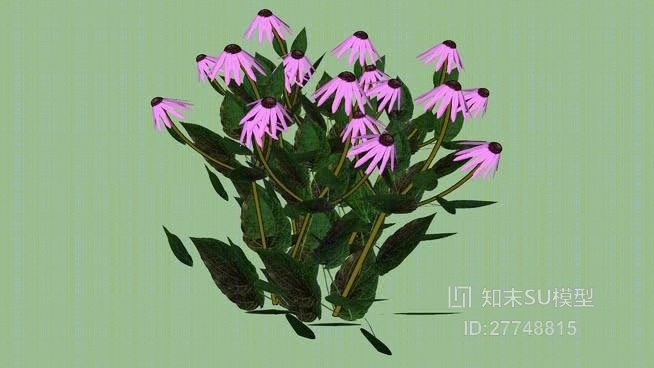 花SU模型下载【ID:27748815】