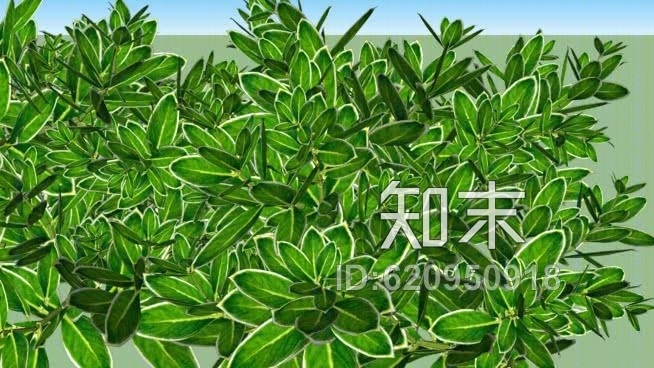 杂色植物灌木SU模型下载【ID:620950918】