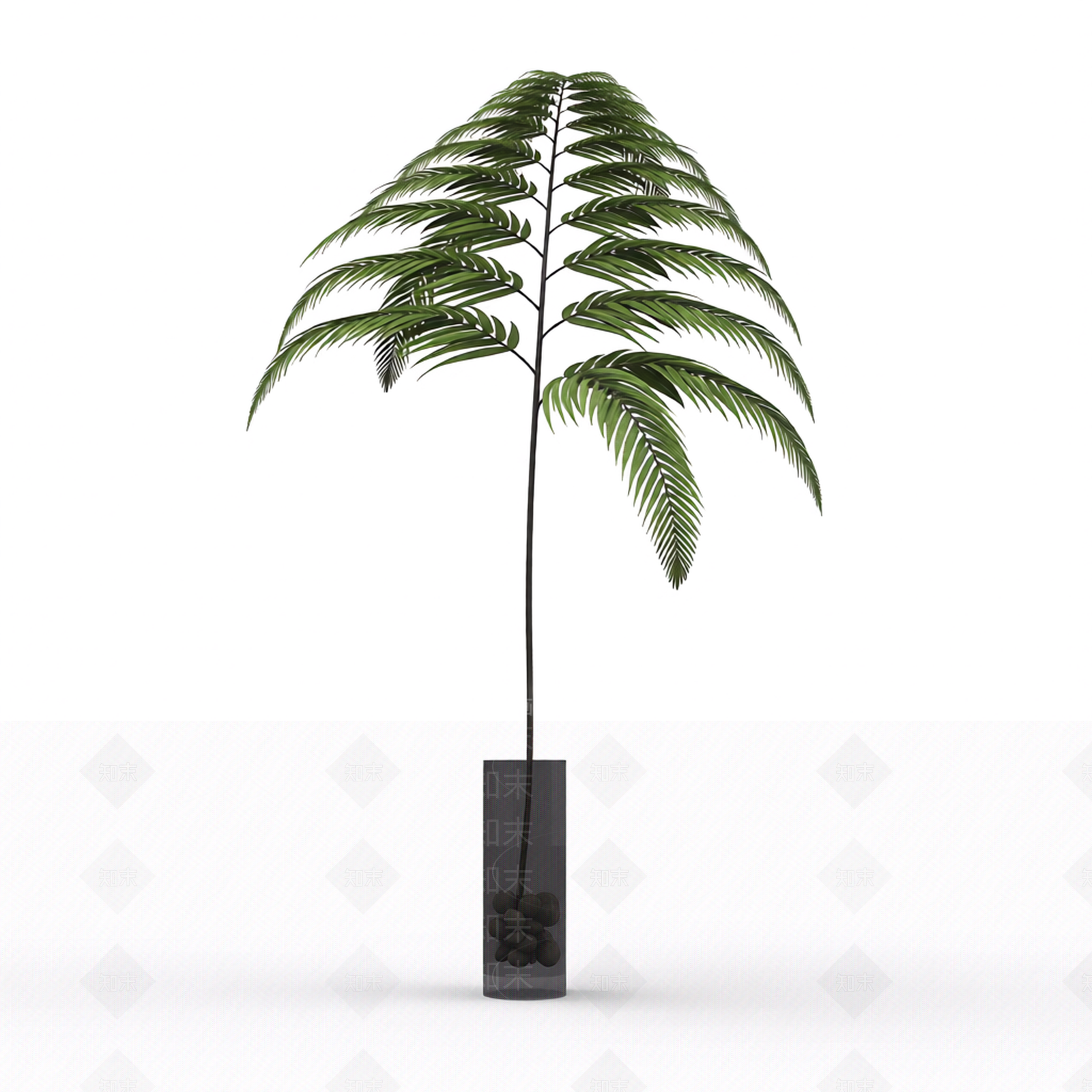 带盆绿植盆栽3D模型下载【ID:1206183074】