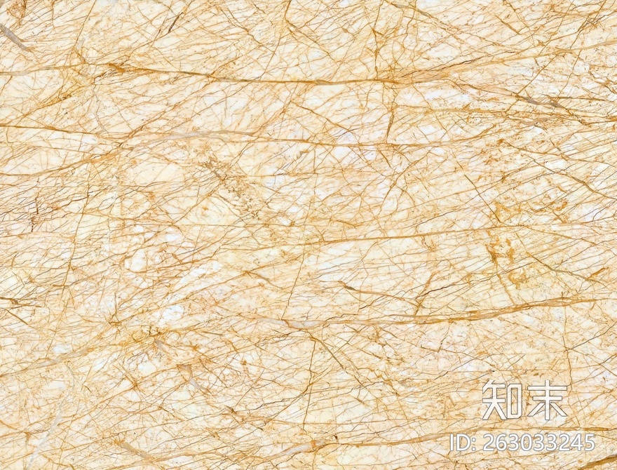 杰卡丝.jpg贴图下载【ID:263033245】