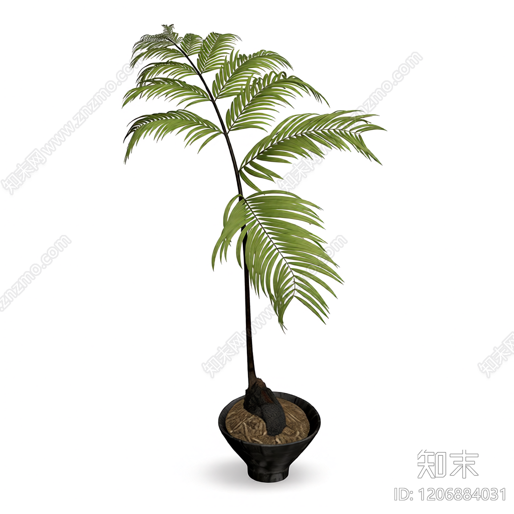 盆栽棕榈植物3D模型下载【ID:1206884031】