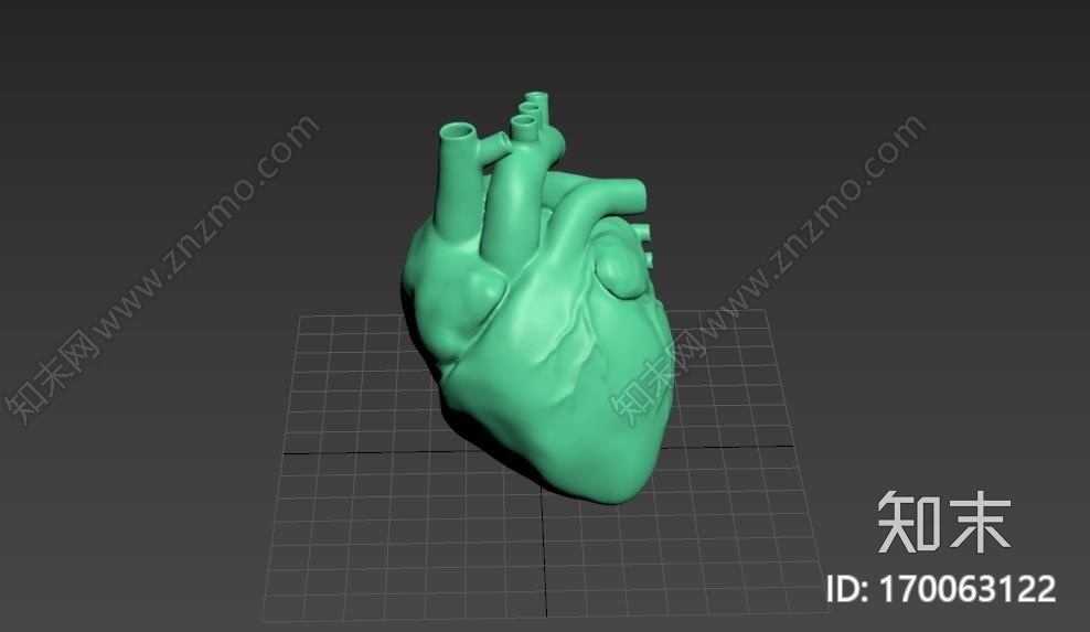 人类心脏模型3d打印模型下载【ID:170063122】