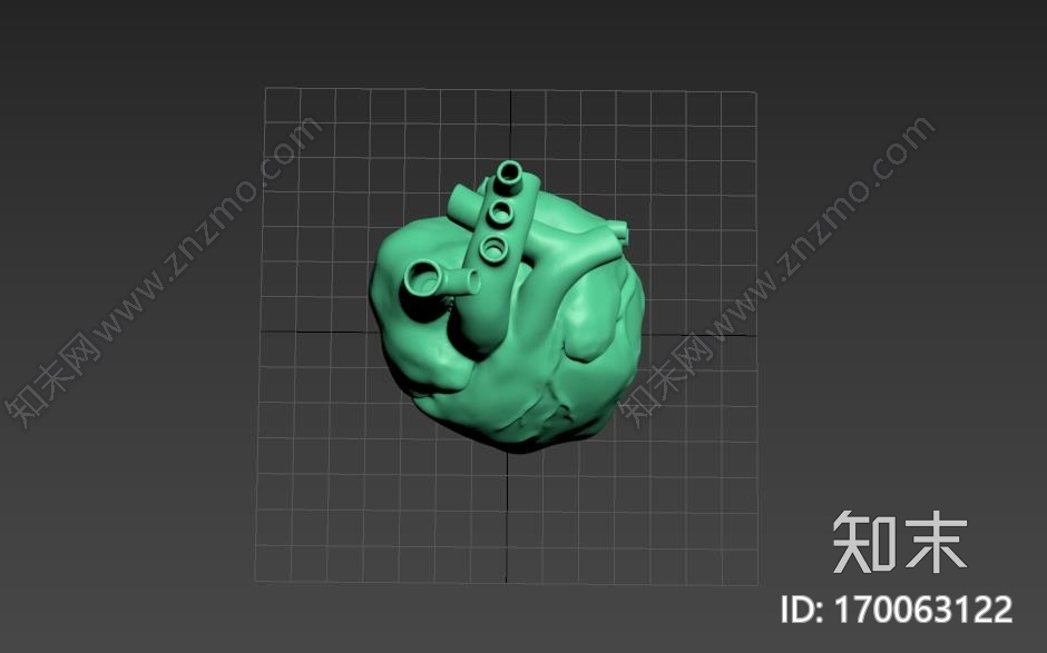 人类心脏模型3d打印模型下载【ID:170063122】