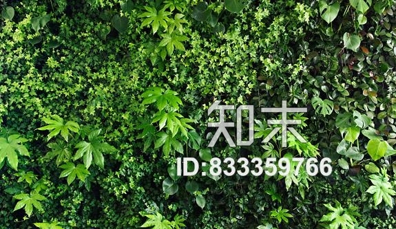 绿植墙，可改变位置贴图下载【ID:833359766】