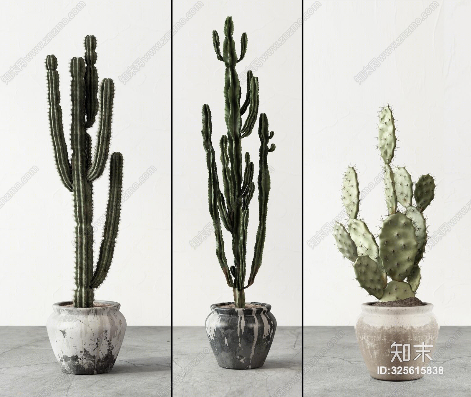 北欧植物仙人掌模型组合3D模型下载【ID:325615838】