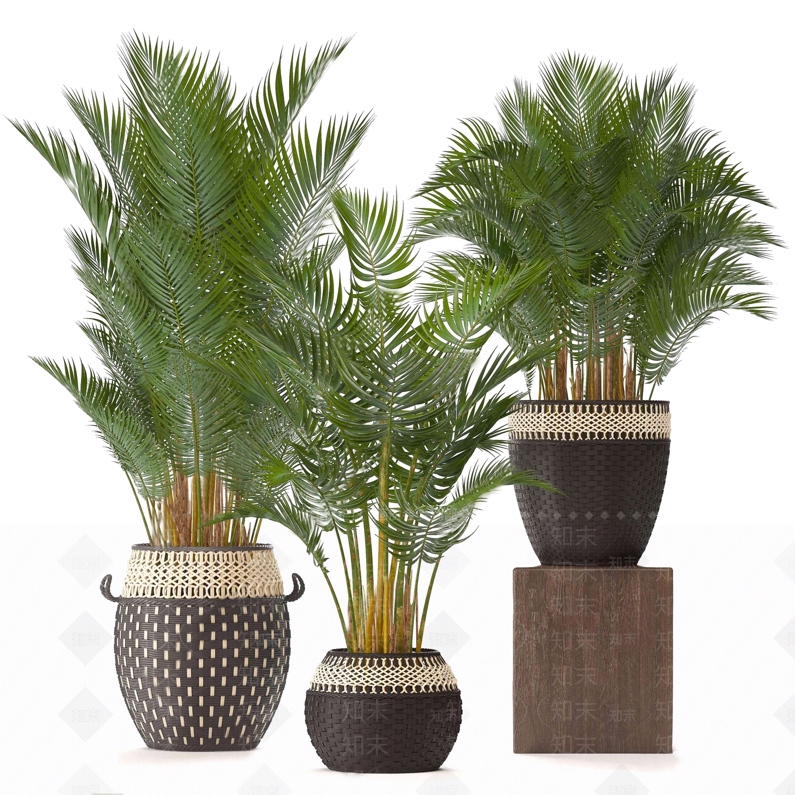 现代绿植盆栽组合3D模型下载【ID:334526831】_知末3d模型网
