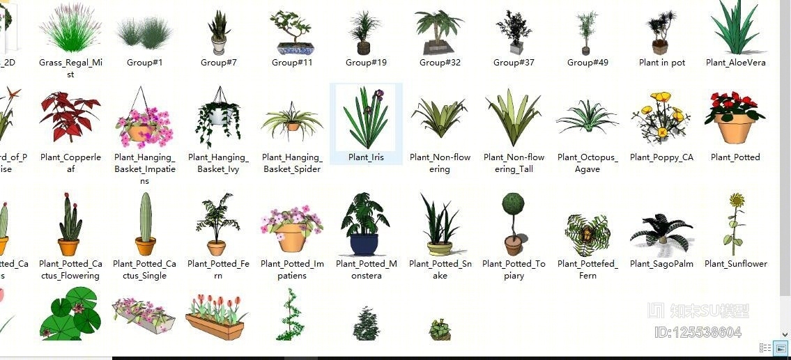 现代植物组合SU模型草图