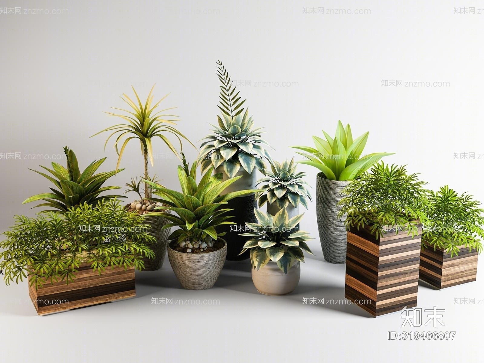现代室内植物盆景集合3D模型下载【ID:319466807】