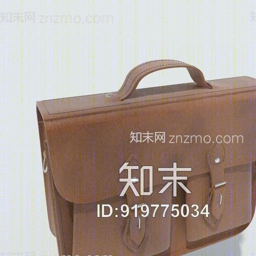 Bag3D模型下载【ID:919775034】