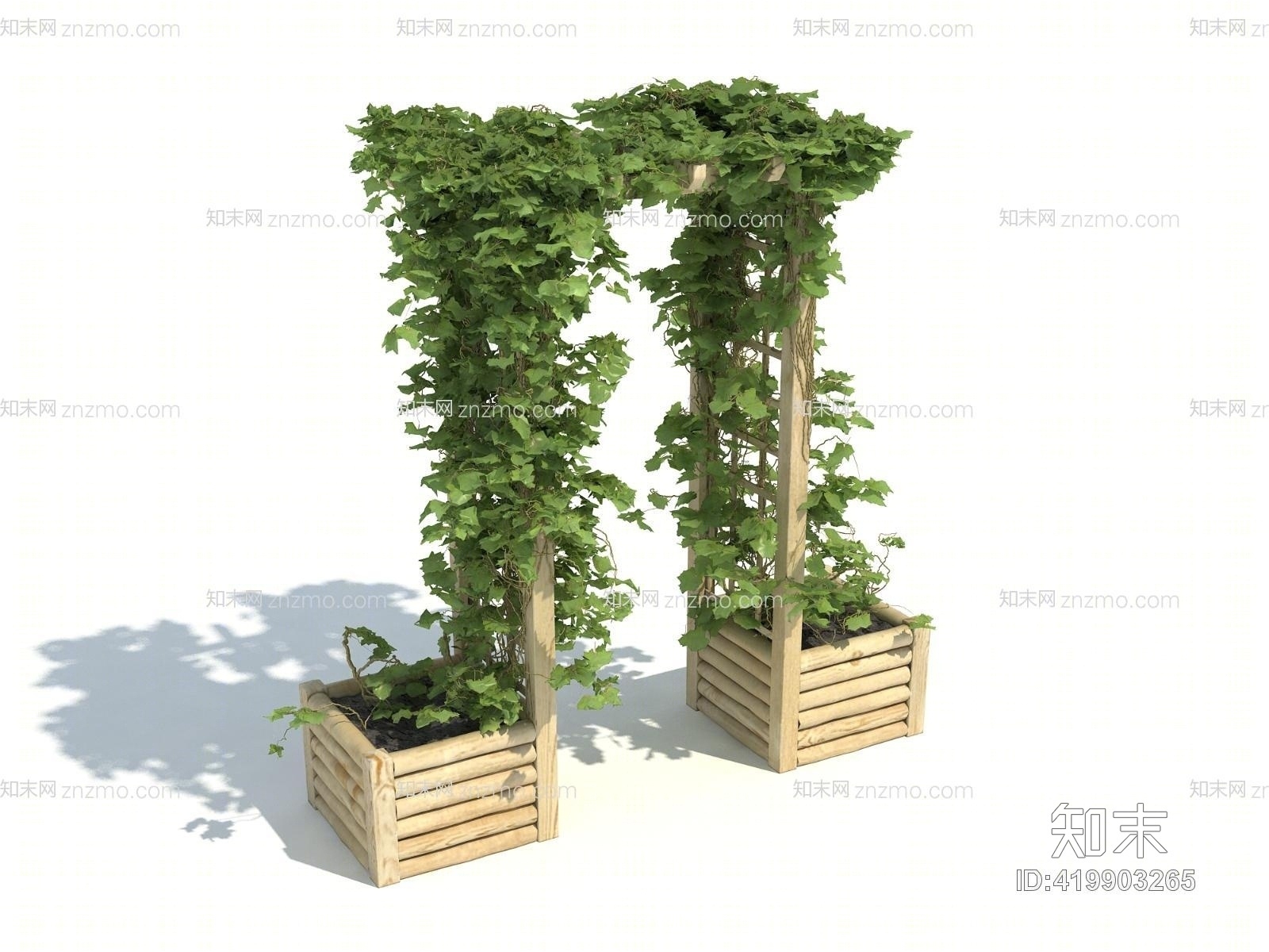藤蔓3D模型下载【ID:419903265】