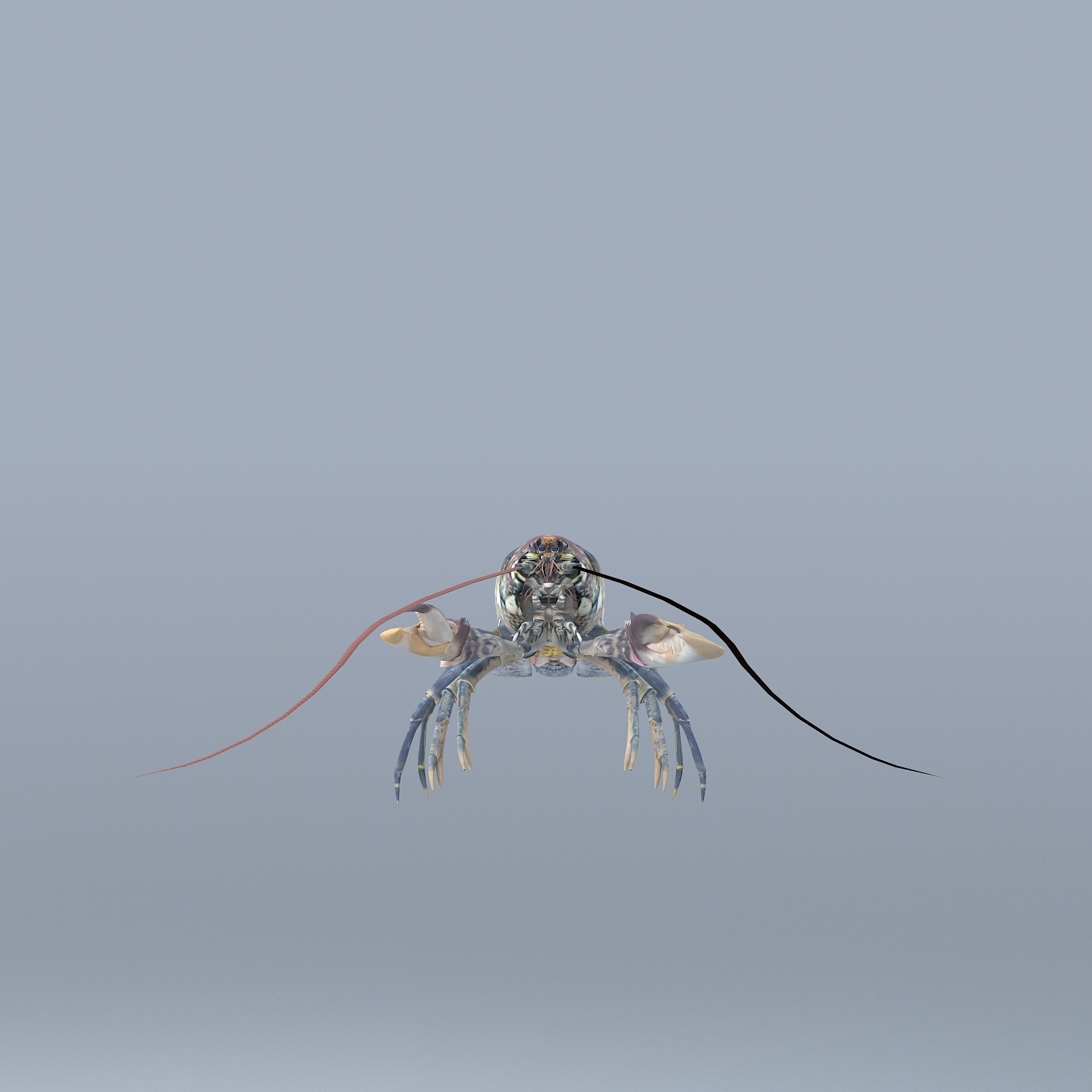 龙虾3D模型下载【ID:820482880】