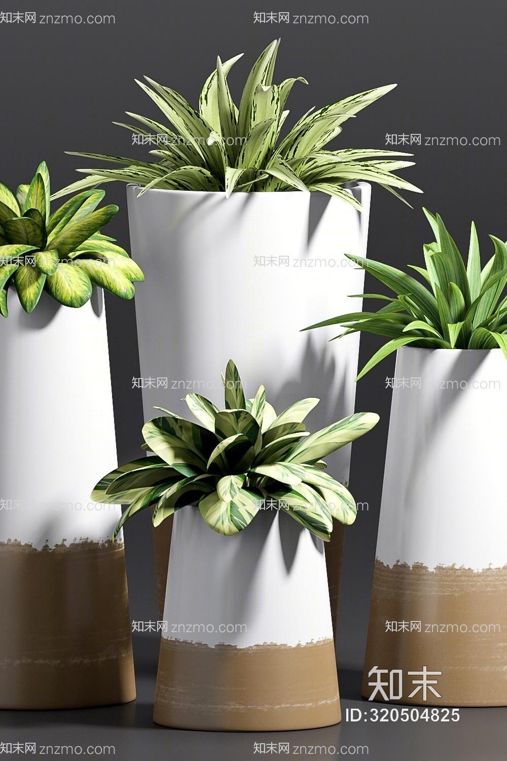 植物花盆模型3D模型下载【ID:320504825】