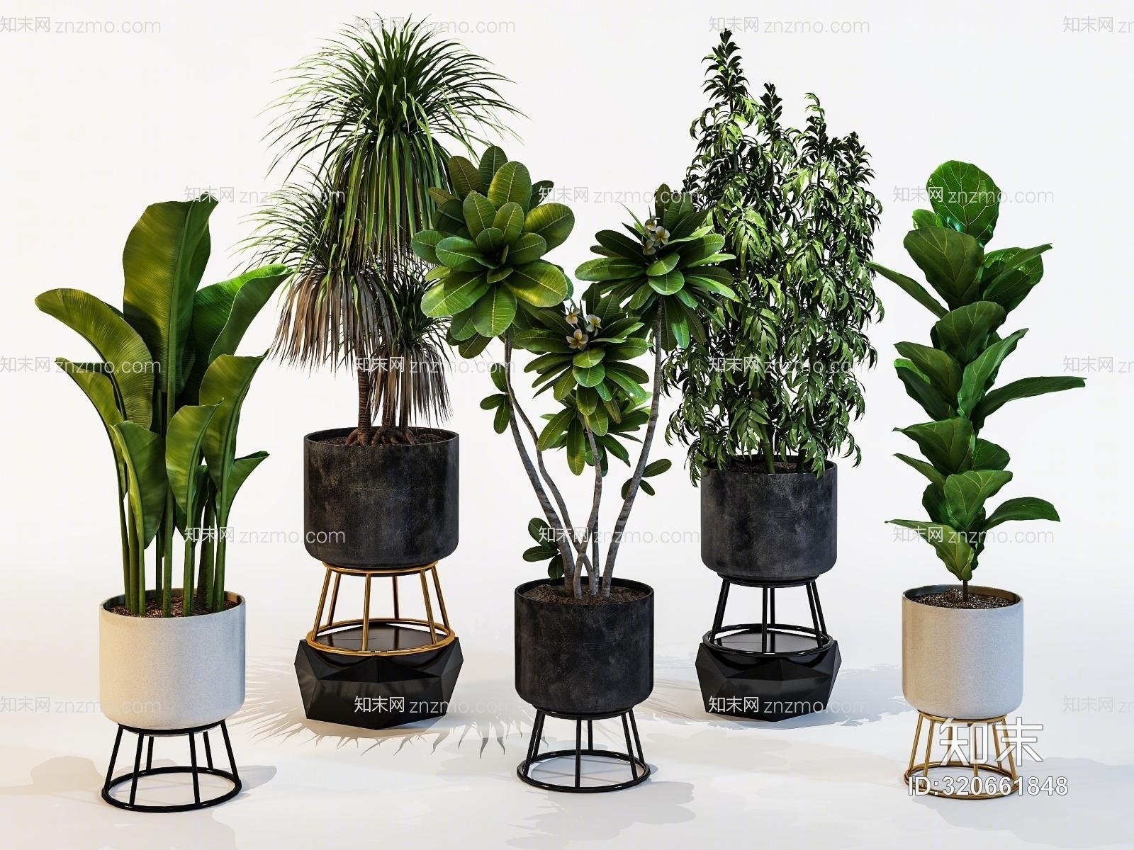 室内植物盆景组合3D模型下载【ID:320661848】