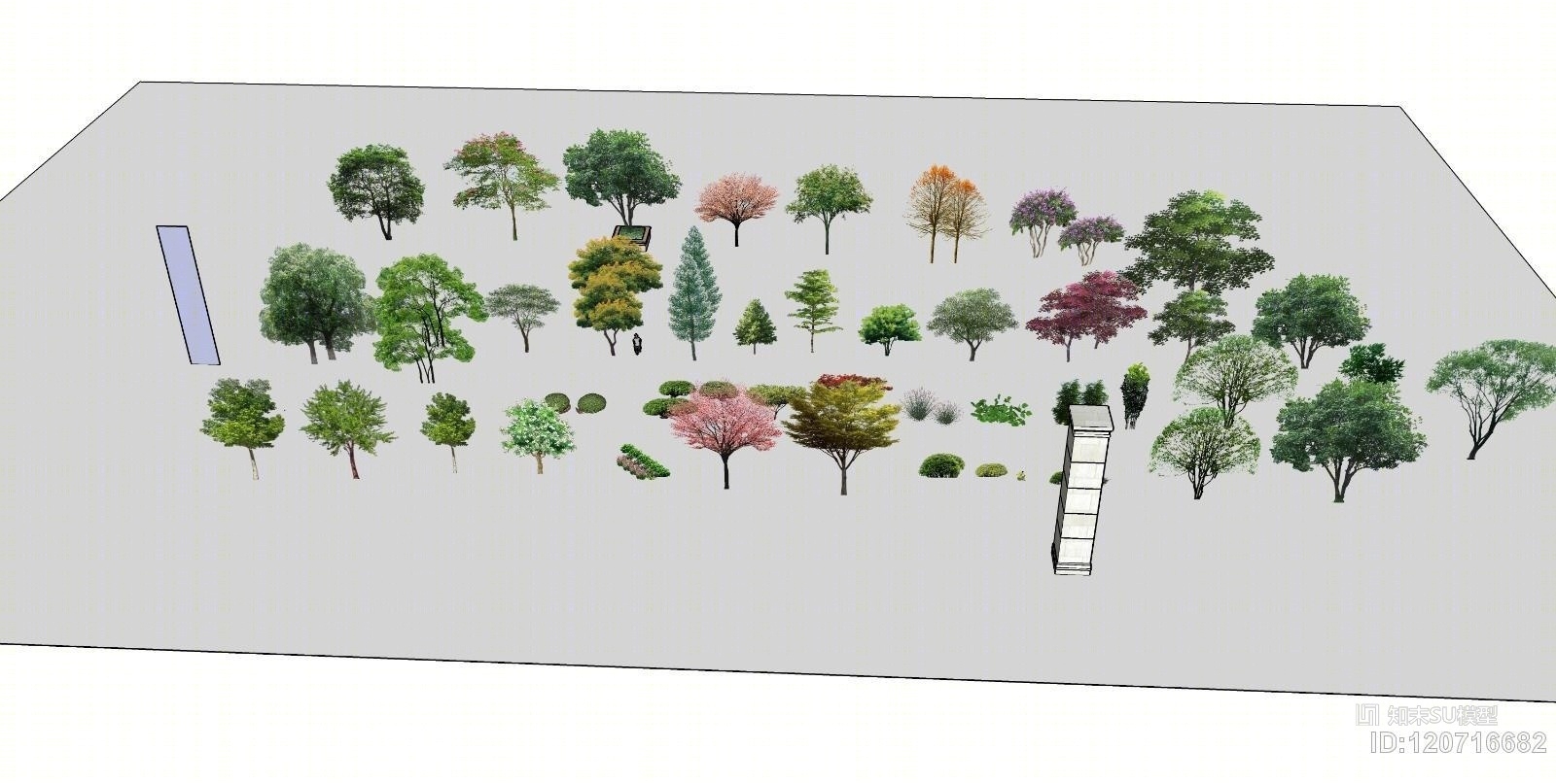 植物大全各种SU模型下载【ID:120716682】