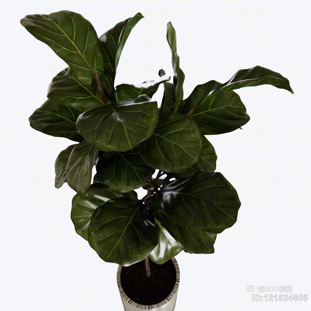 植物盆栽绿色大叶SU模型下载【ID:121524805】