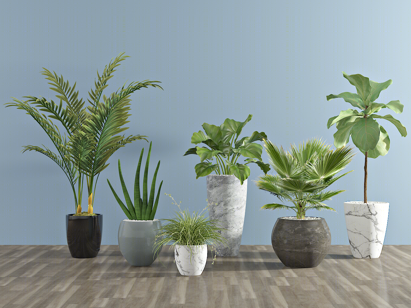 现代植物3d模型下载【id:321540879】