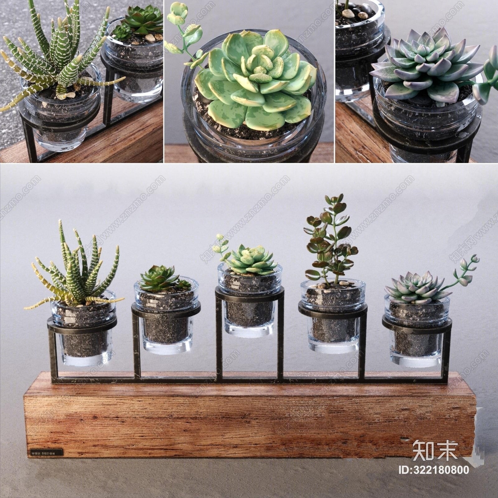 北欧多肉盆栽植物模型3D模型下载【ID:322180800】