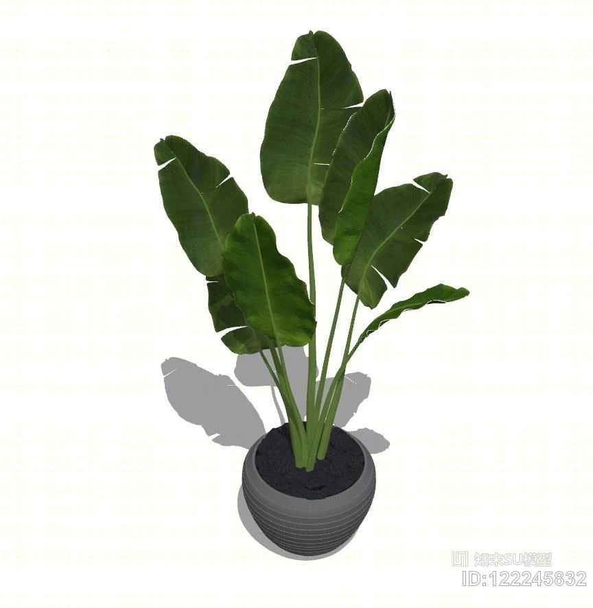 芭蕉树草图大师模型SU模型下载【ID:122245832】