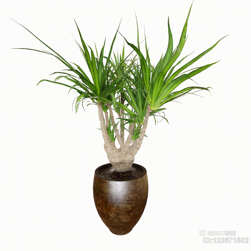 植物盆栽陶瓷绿叶SU模型下载【ID:123671802】