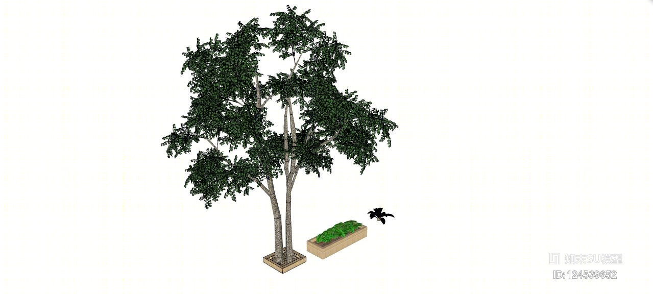 精品单体植物树SU模型下载【ID:124539652】