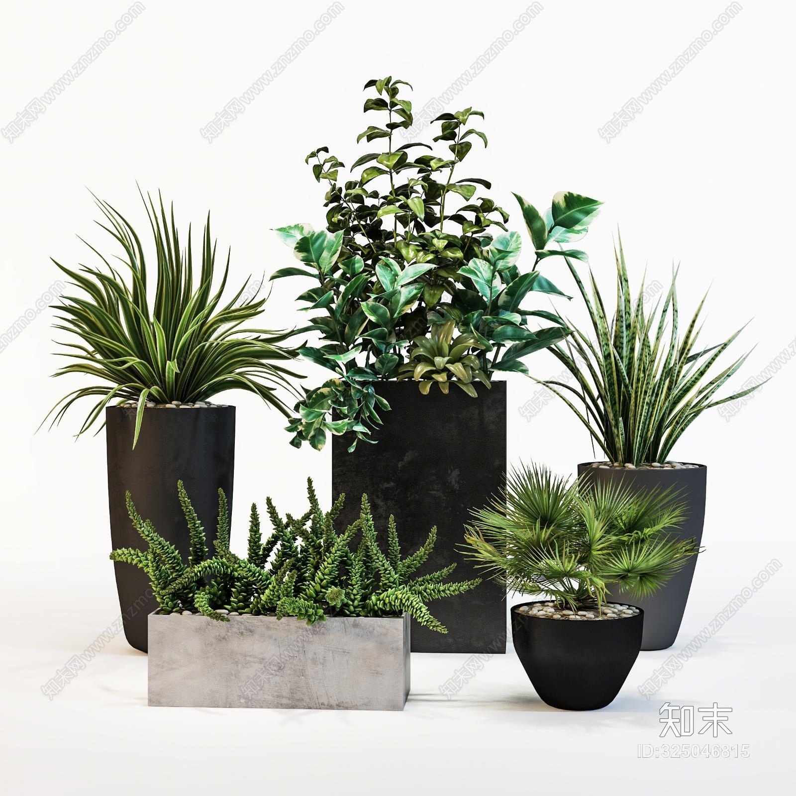 现代室内盆景植物组合3D模型下载【ID:325046815】