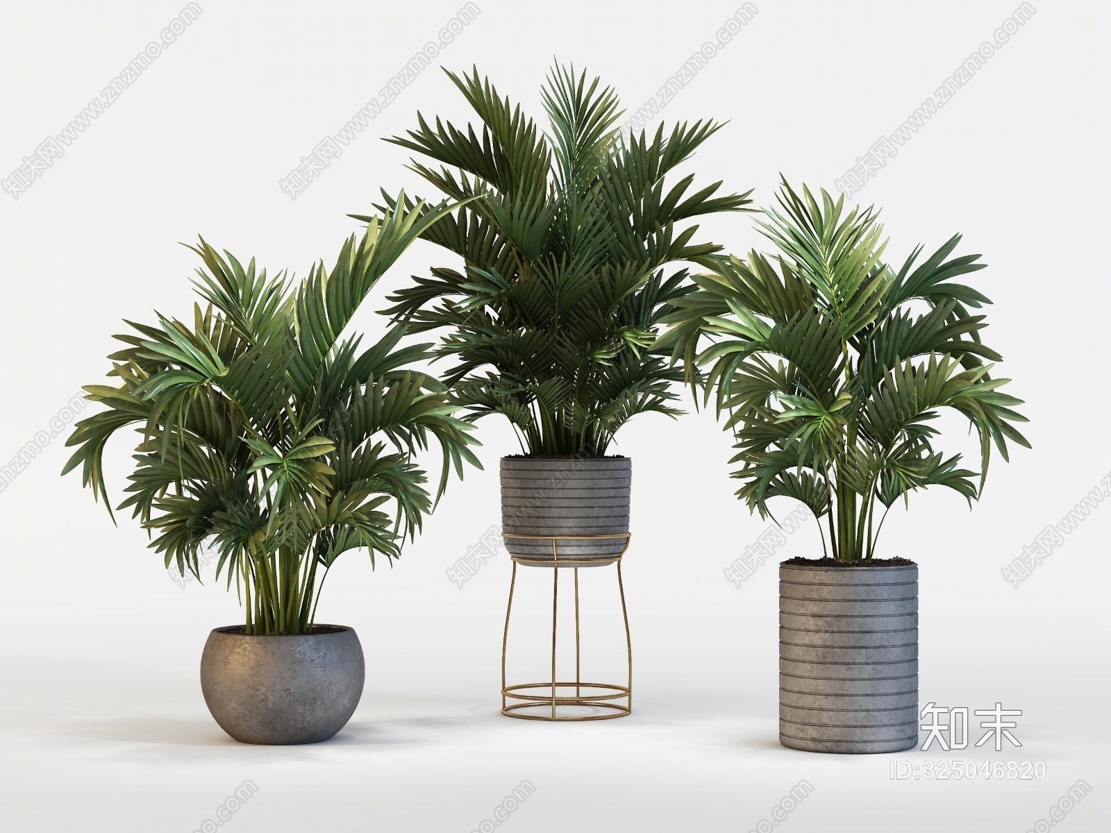 现代植物盆景装饰植物3D模型下载【ID:325046820】