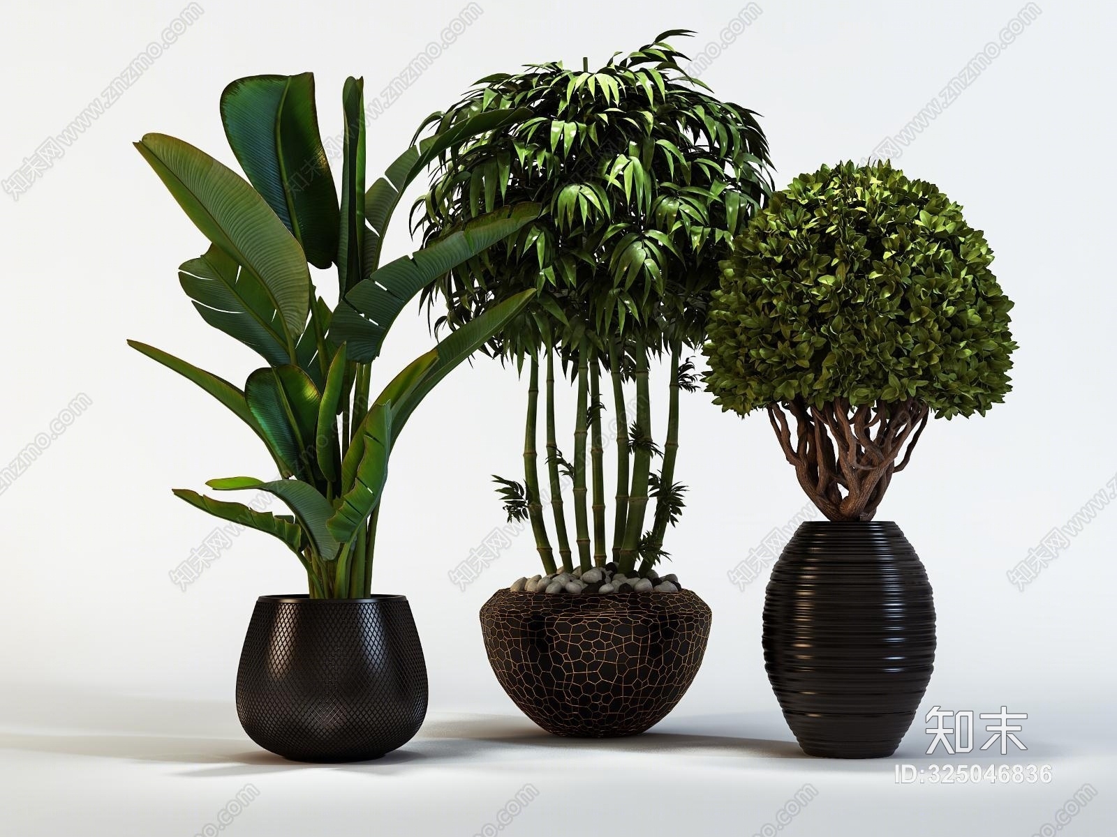 现代室内植物盆景绿化装饰3D模型下载【ID:325046836】
