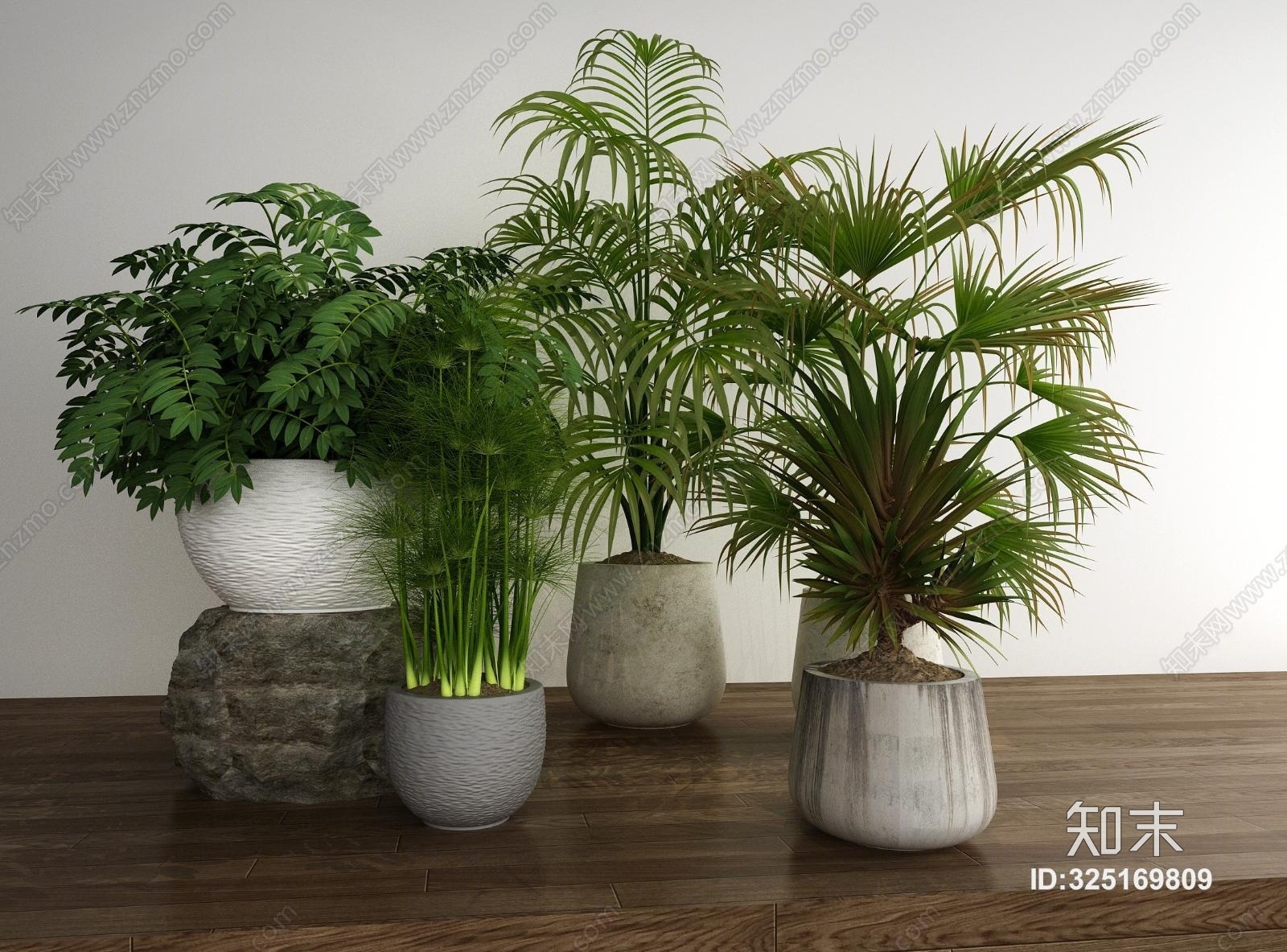 现代盆栽植物模型组合3D模型下载【ID:325169809】