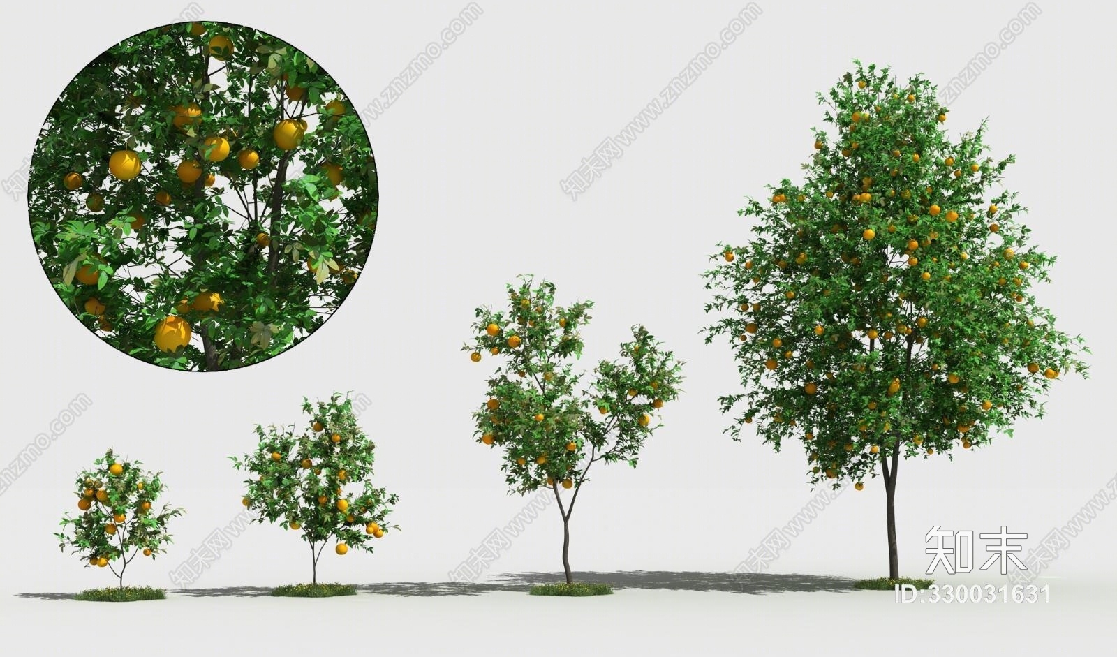 现代树橘子树果树景观树花草3D模型下载【ID:330031631】