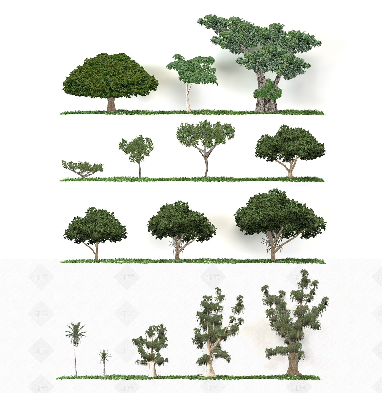 省面植物树简模3D模型下载【ID:333108980】
