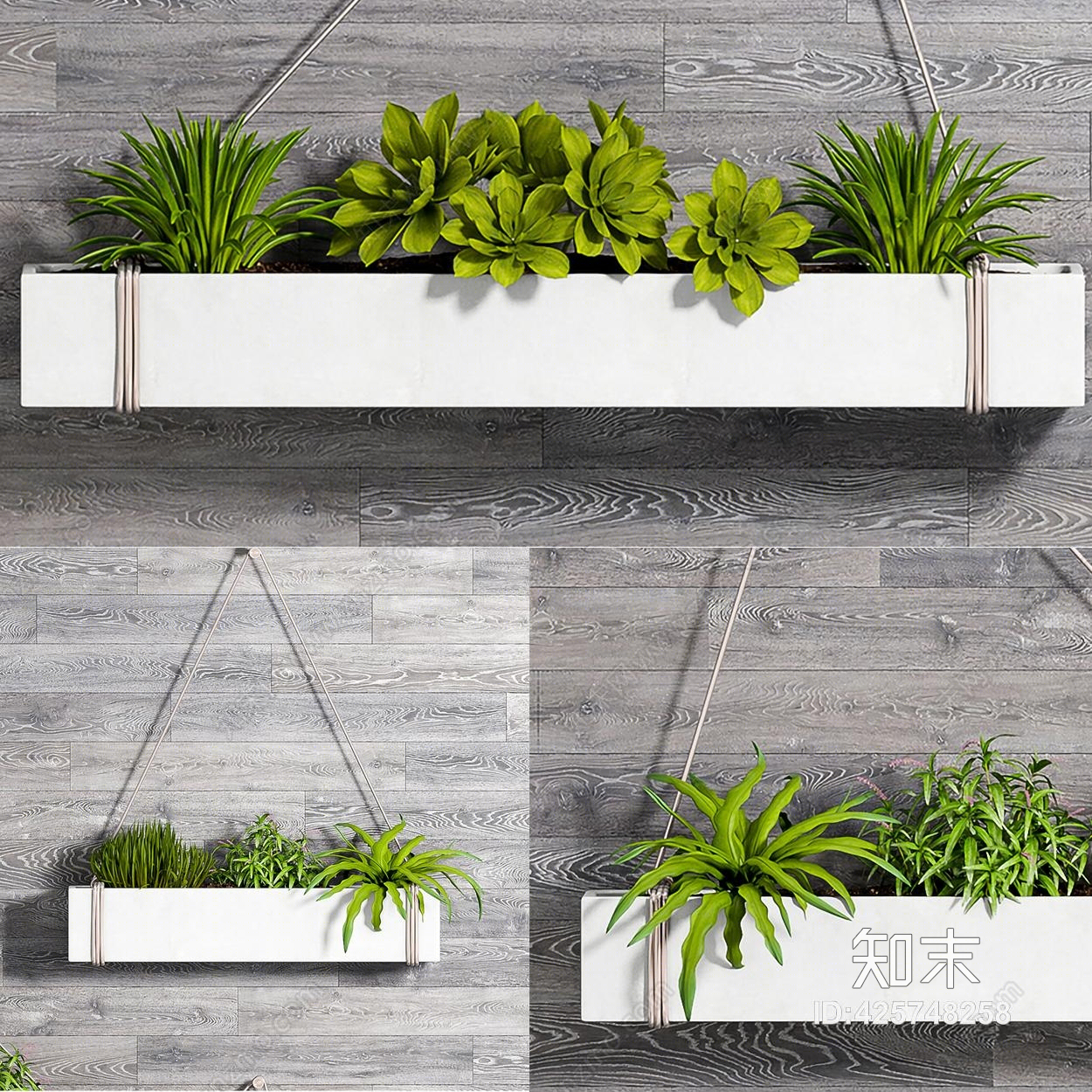 现代植物饰品挂墙3D模型下载【ID:425748258】