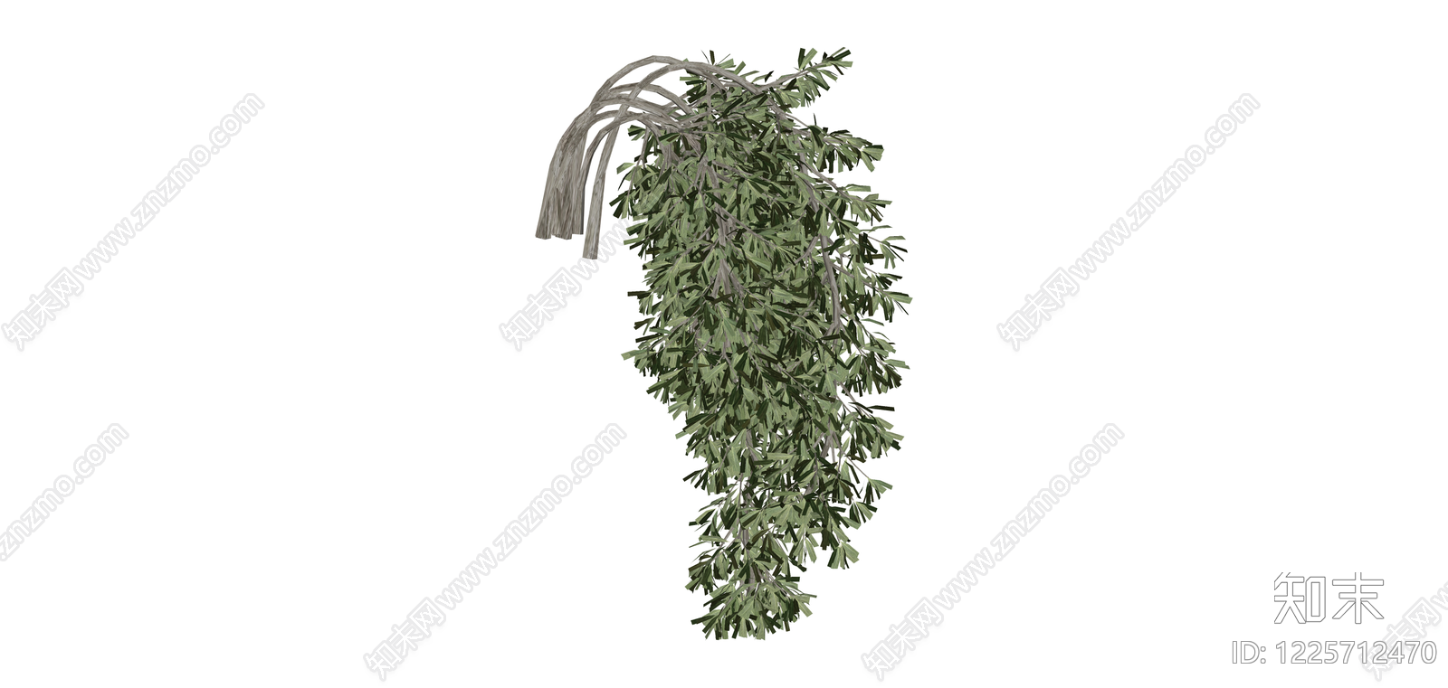 垂枝绿植模型SU模型下载【ID:1225712470】