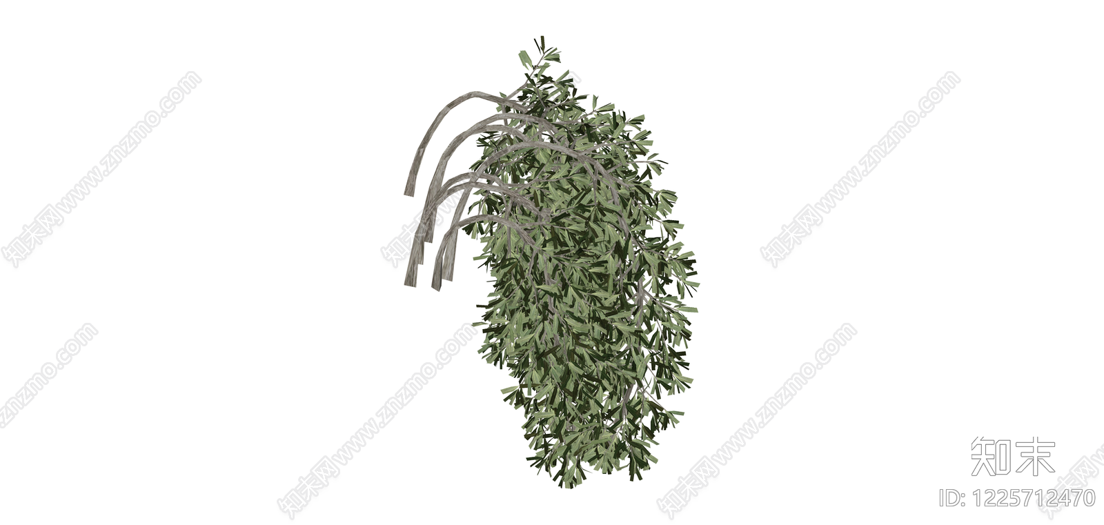 垂枝绿植模型SU模型下载【ID:1225712470】