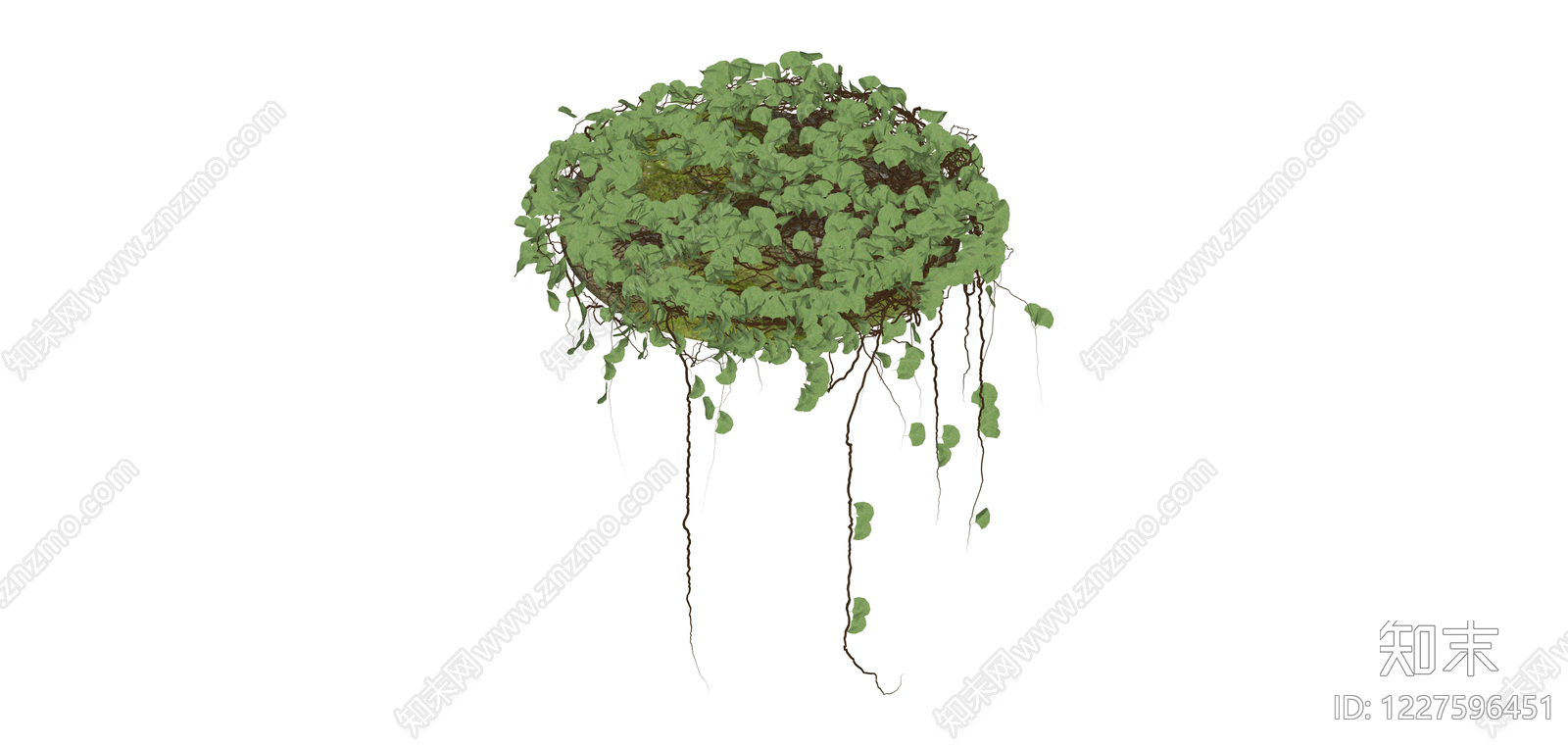 悬挂绿植藤蔓组件SU模型下载【ID:1227596451】