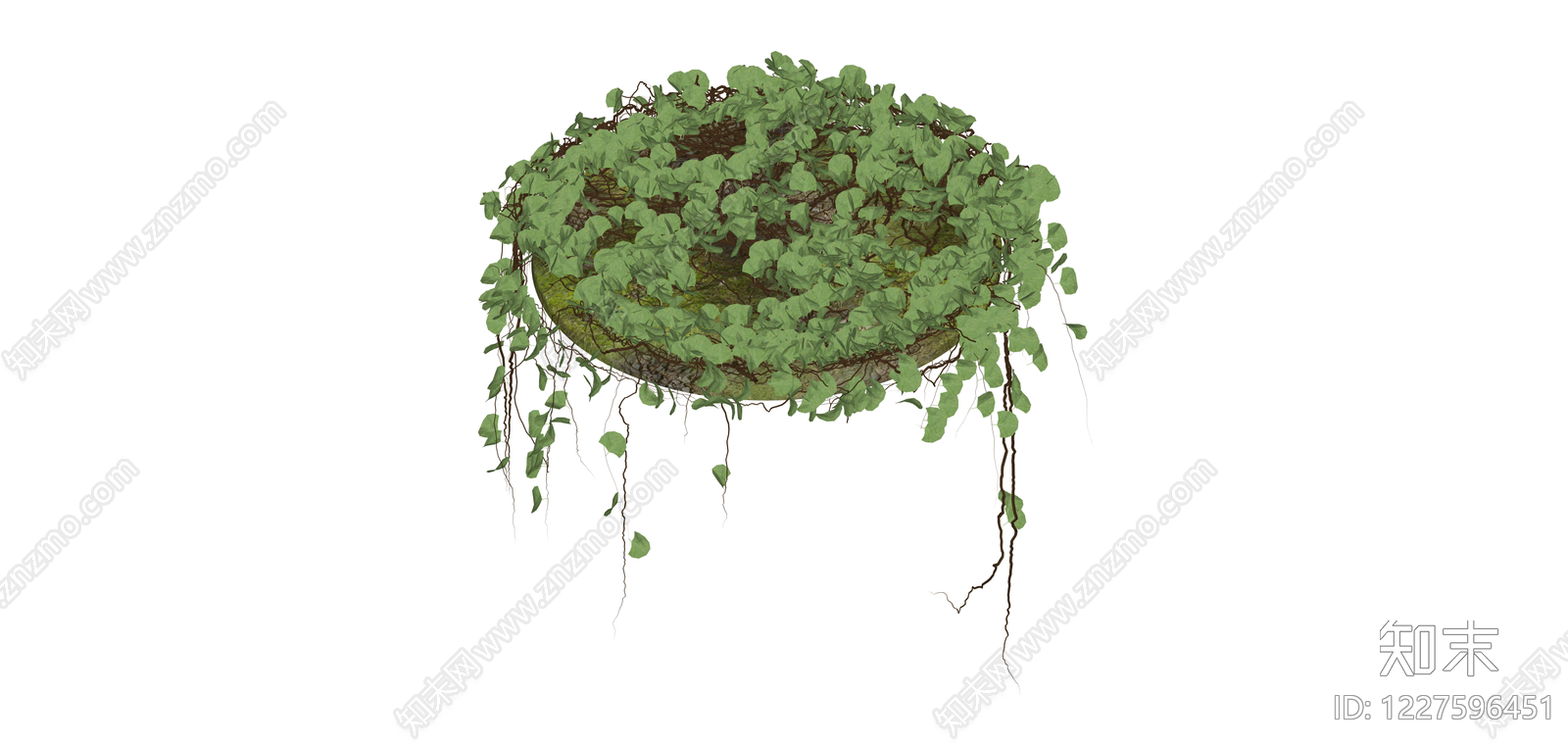悬挂绿植藤蔓组件SU模型下载【ID:1227596451】