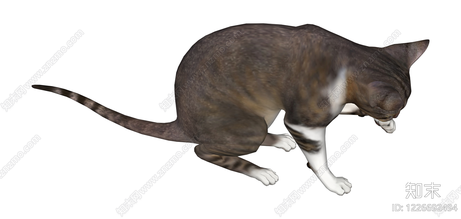 3D灰白猫舔爪模型SU模型下载【ID:1226692494】