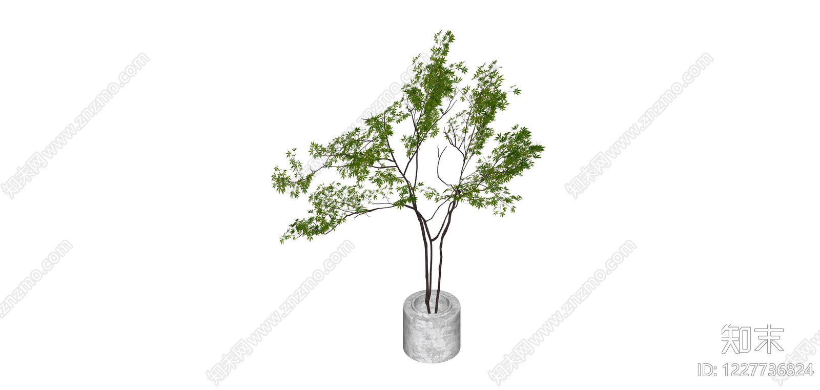 盆栽绿植景观树SU模型下载【ID:1227736824】