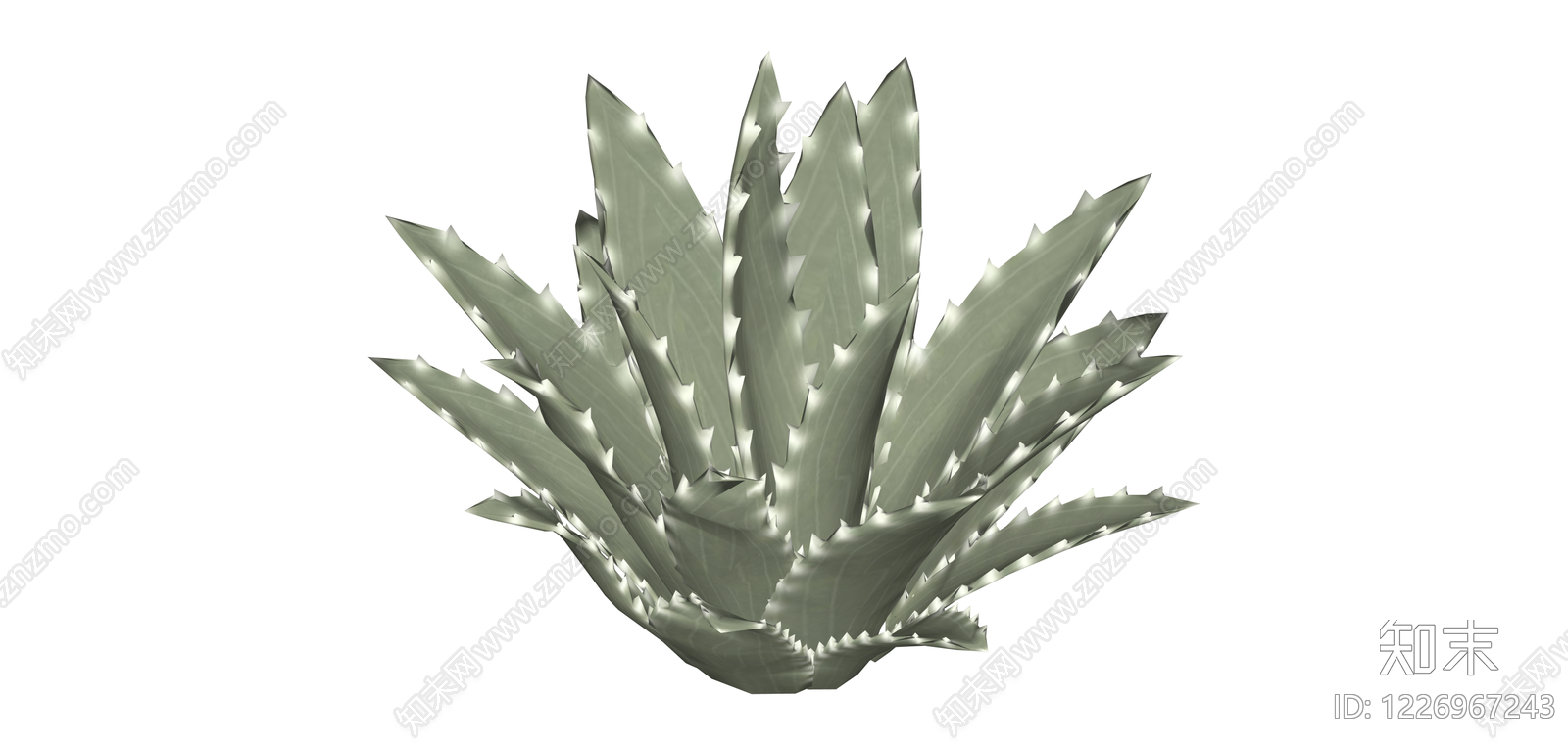 尖叶龙舌兰植物模型SU模型下载【ID:1226967243】