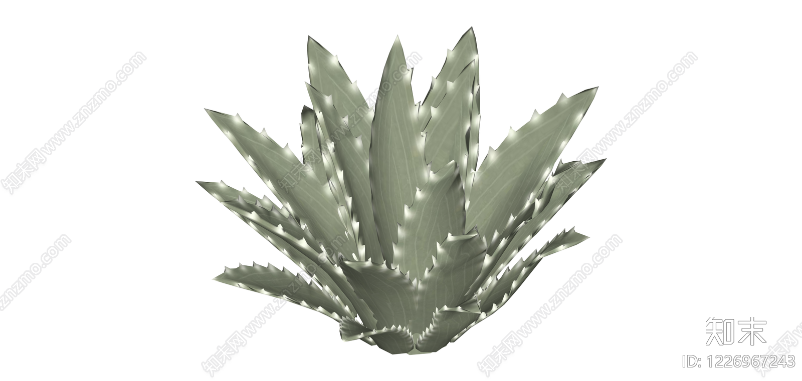 尖叶龙舌兰植物模型SU模型下载【ID:1226967243】