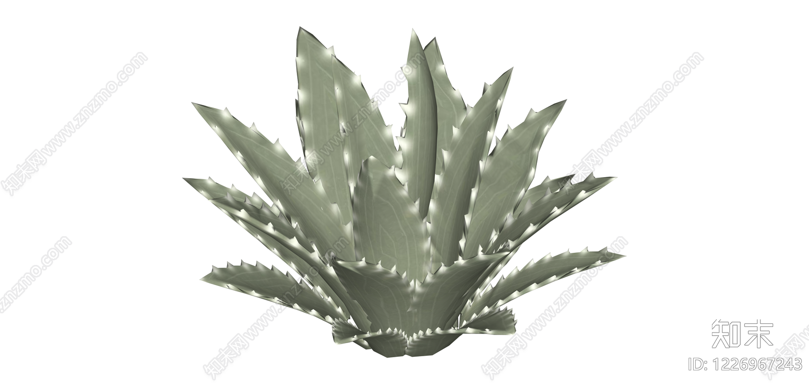 尖叶龙舌兰植物模型SU模型下载【ID:1226967243】