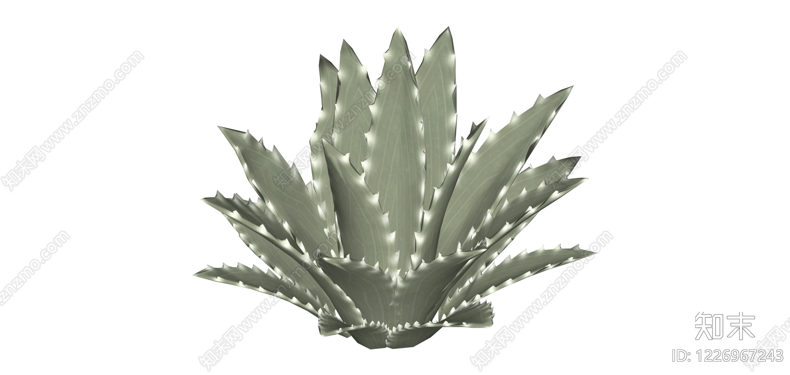 尖叶龙舌兰植物模型SU模型下载【ID:1226967243】