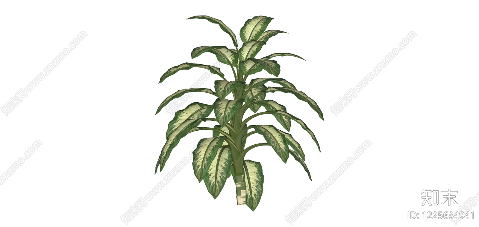 带盆观叶盆栽植物SU模型下载【ID:1225634941】