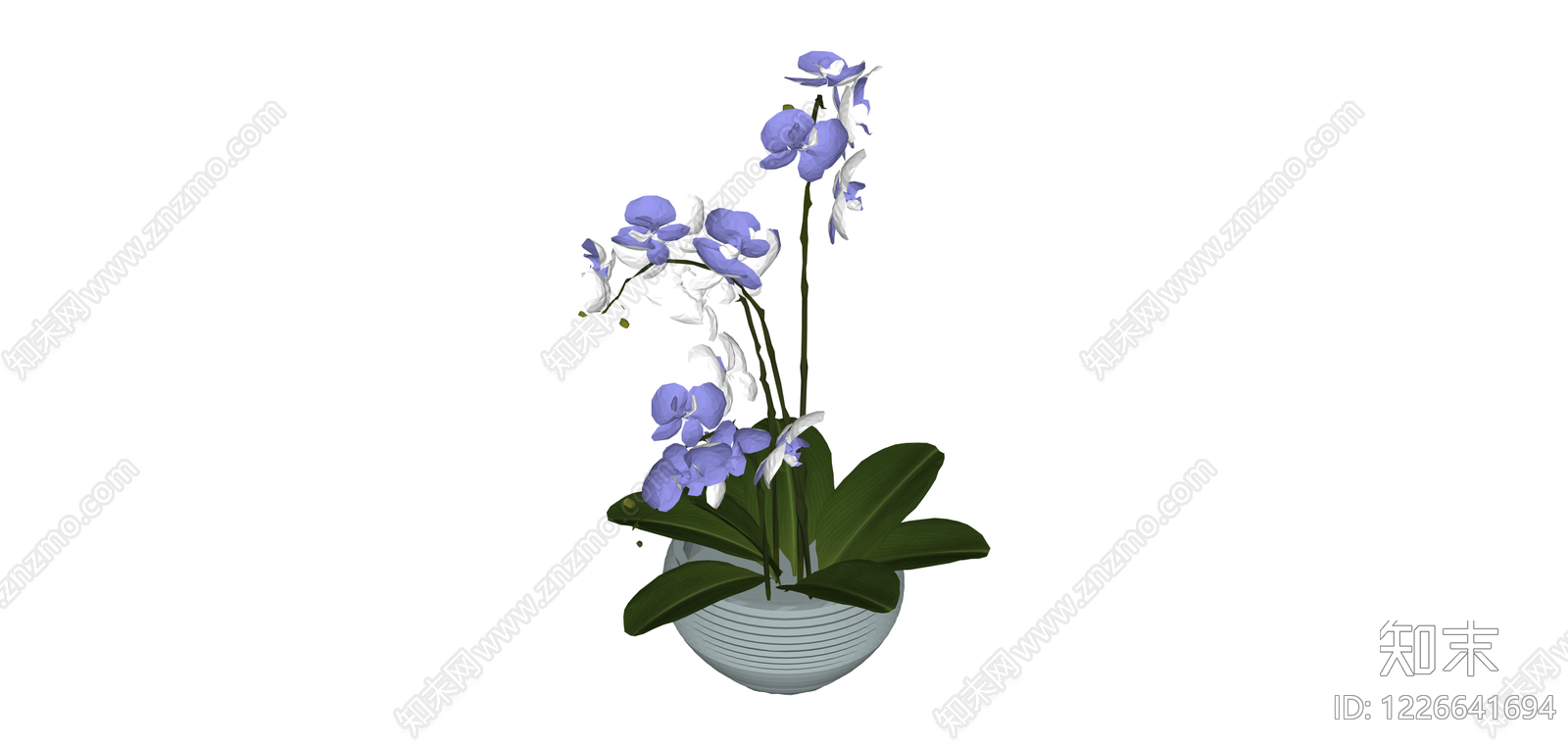 蓝白蝴蝶兰盆栽SU模型下载【ID:1226641694】