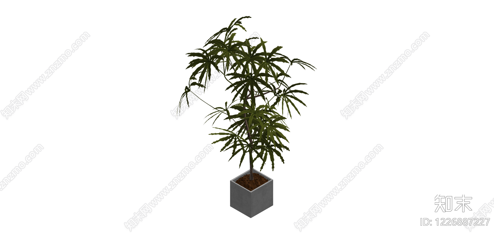 带盆绿植盆栽SU模型下载【ID:1226887227】