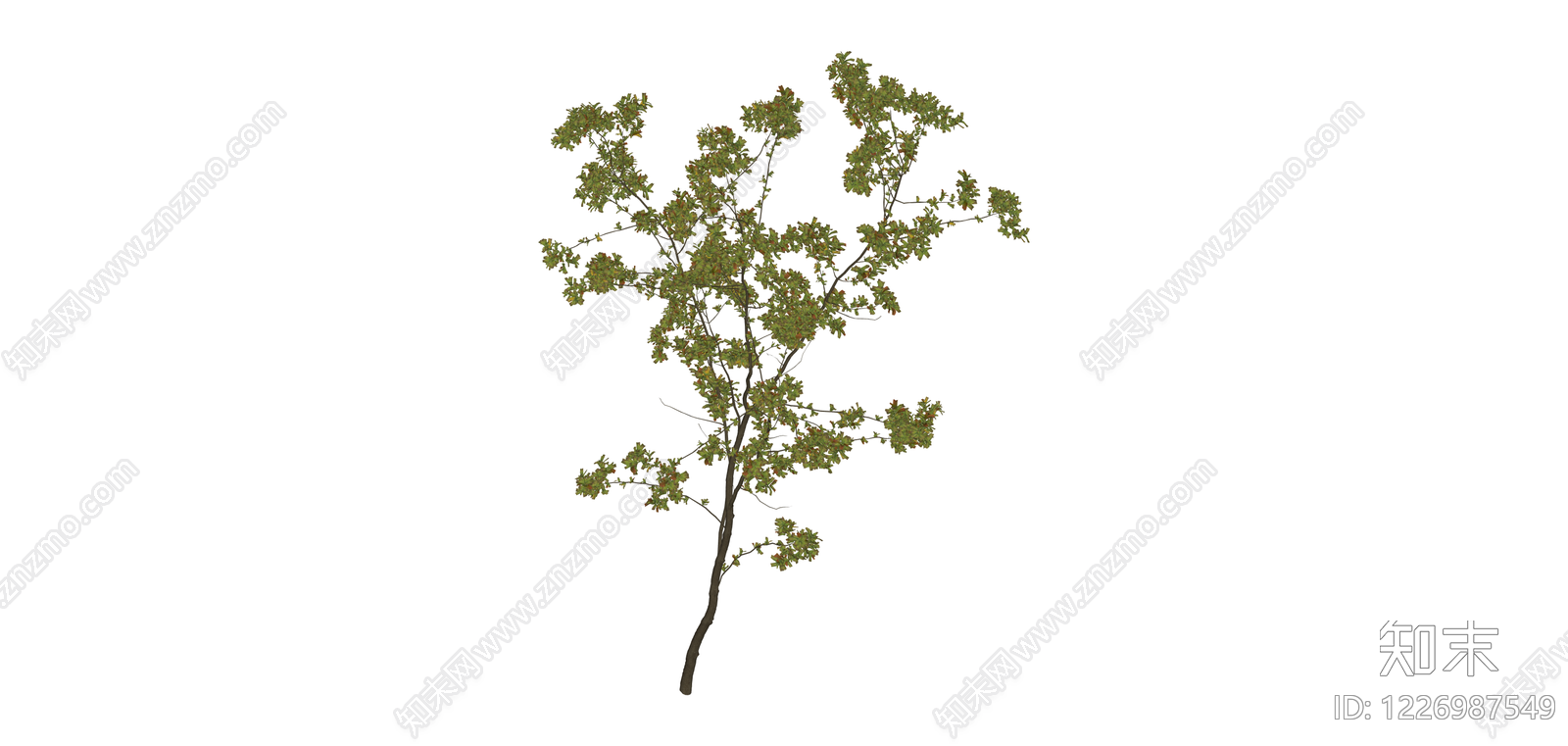 独立乔木模型SU模型下载【ID:1226987549】