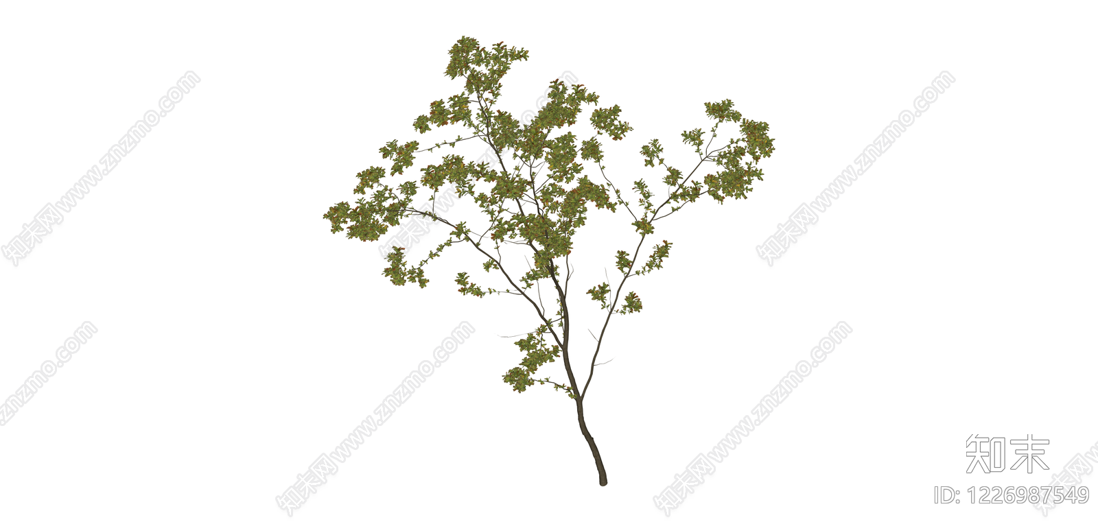 独立乔木模型SU模型下载【ID:1226987549】