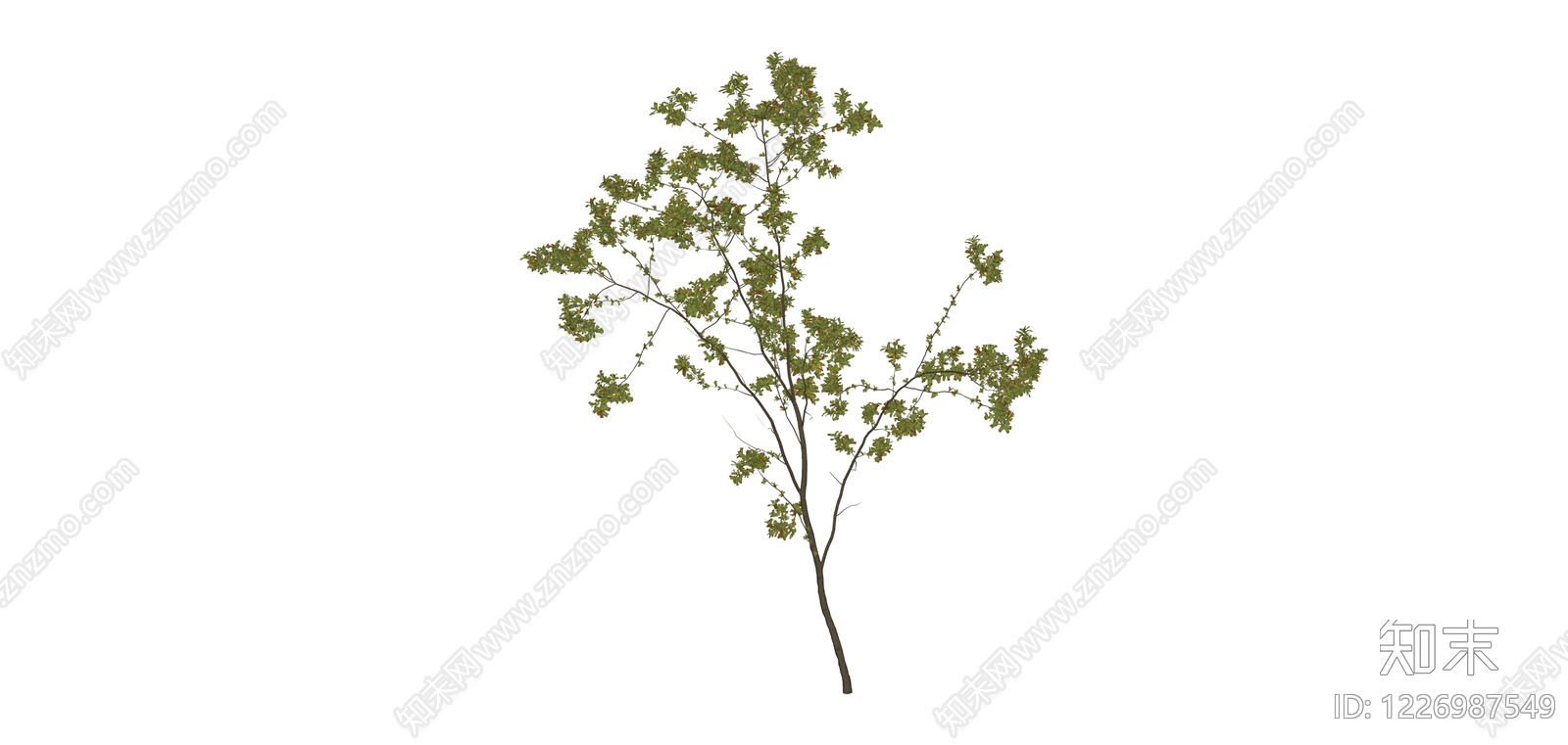 独立乔木模型SU模型下载【ID:1226987549】