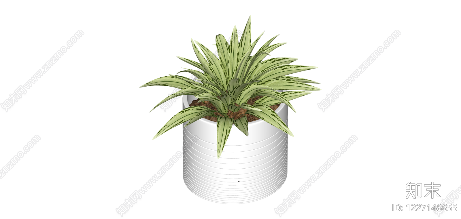 白盆虎皮兰盆栽SU模型下载【ID:1227148655】